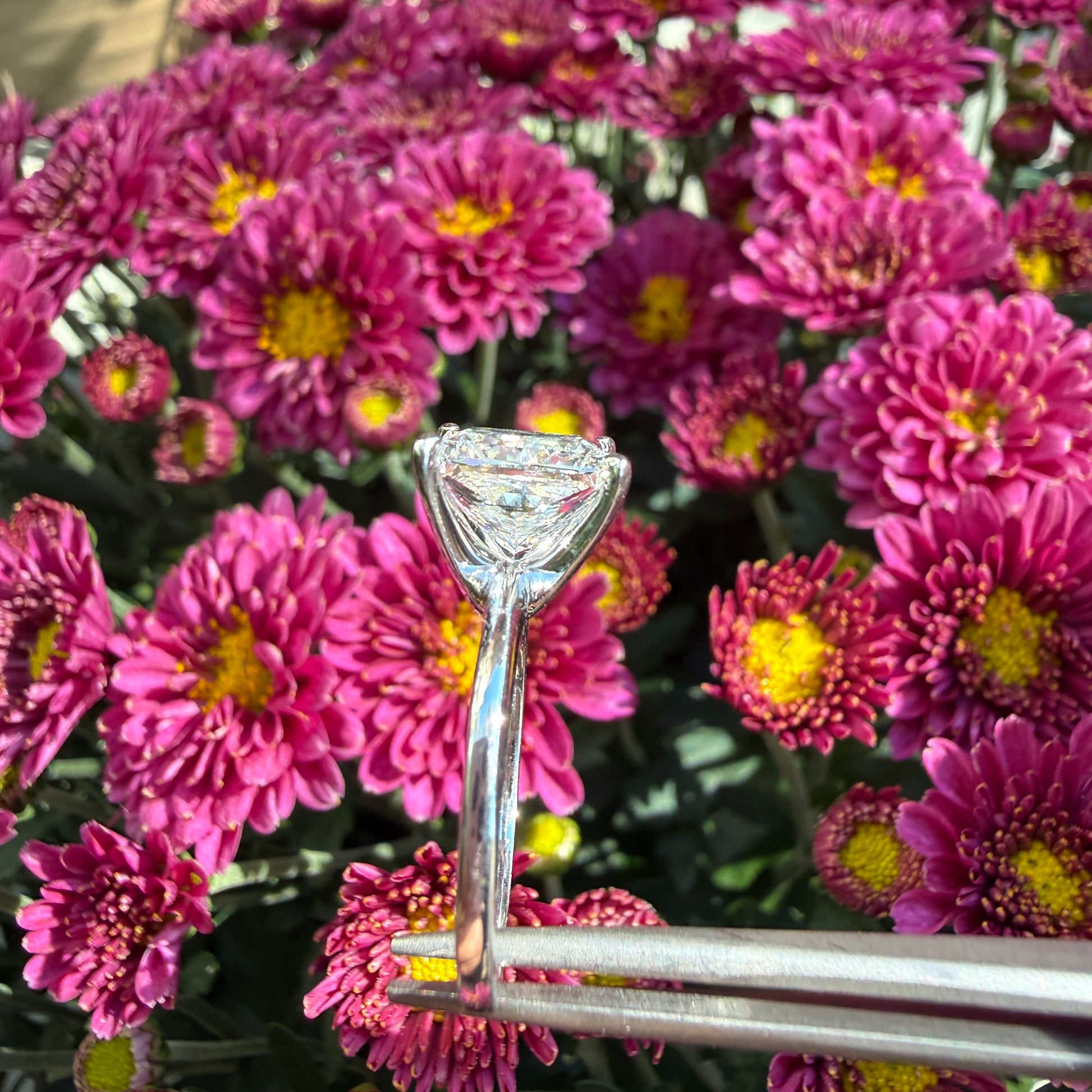 Princess Cut Lab Grown Diamond Solitaire | Classic 14K Engagement Ring